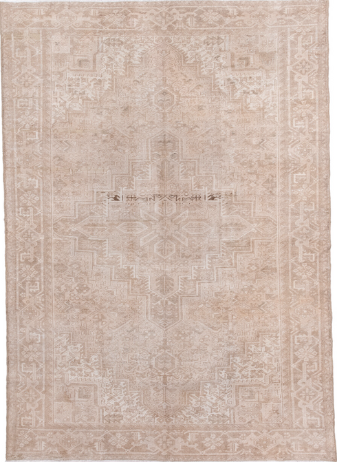 Antique Heriz Area Rug (6' x 9')